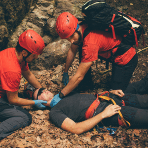 aramakurtarmaegitimi