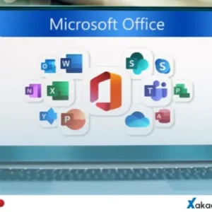 microsoft office programları kursu